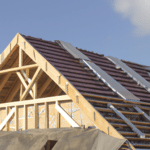 Jak zbudować dach ekstensywny - porady dla początkujących budowniczych