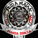 Federacje MMA - Jakie są najważniejsze ligi mieszanych sztuk walki?