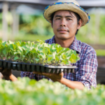 Przemysł i rolnictwo: sprawdzian zrównoważonego rozwoju na nowej planecie