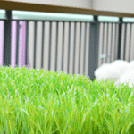 Czy warto zainstalować sztuczną trawę na balkonie? Przegląd zalet i wad tego rozwiązania